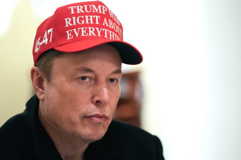 Elon Musk says backlash against his DOGE government cuts is hurting Tesla stock