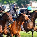 Belmont Stakes: Post position draw results for Sovereignty and Journalism